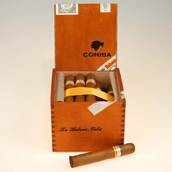 Cohiba Robustos 1/25