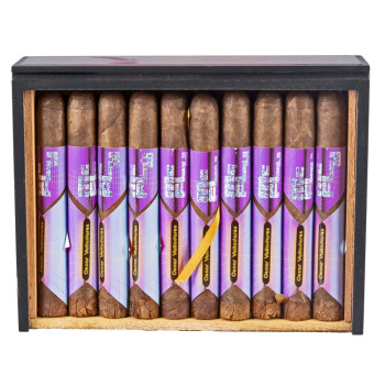 Oscar Valladares MC Fly Toro 1/20