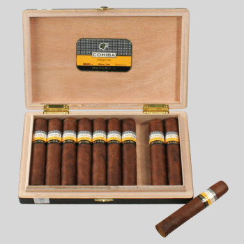 Cohiba Maduro Magicos 1/10
