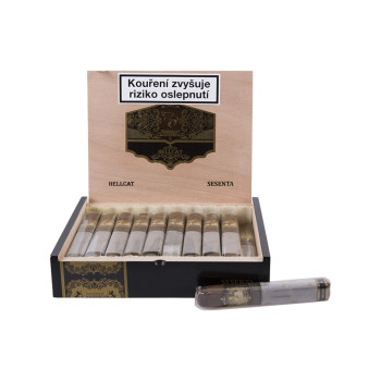 Esteban Carreras Hell Cat Sesenta 1/20 - 2