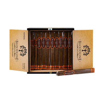 Esteban Carreras Bloodline Natural Stemma 1/20 - 2