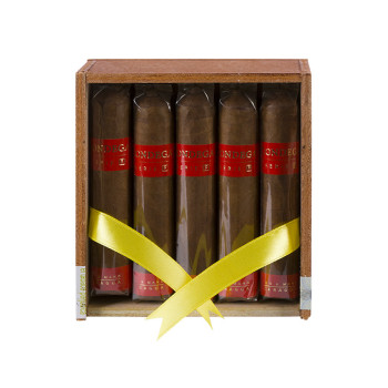 Condega Mini Titan 1/10 - 2