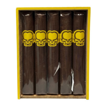 Asylum 13 Split Personality Robusto 1/25 - 2