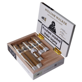 William Walker 1869 Connecticut Sampler - 5 pcs