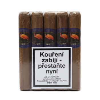 Ibis Robusto Nicaragua 1/10